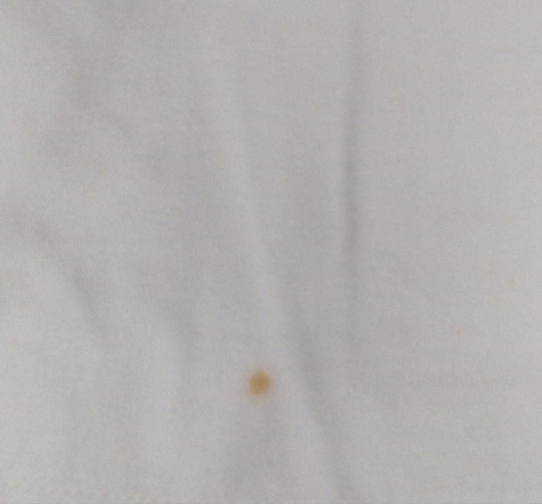 阪神タイガース オーナーズリーグ当選品 ランディバース 直筆サイン入りTシャツ