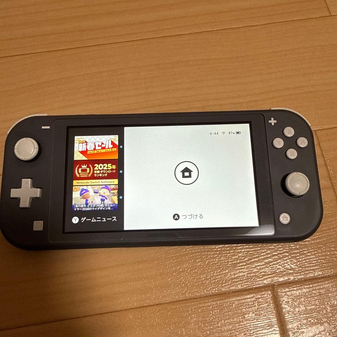 ニンテンドーSwitchライト　グレー本体、ケースのセット