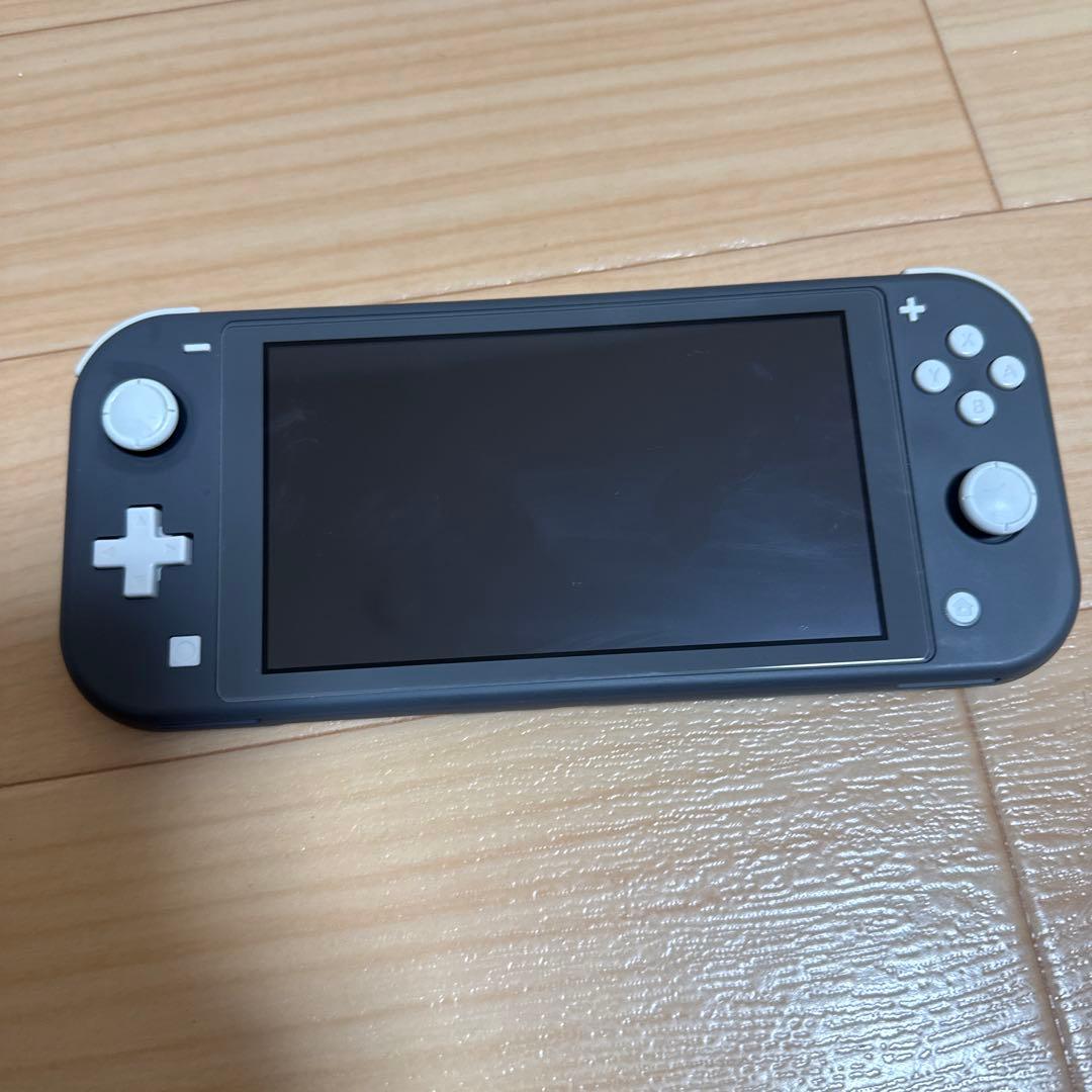 ニンテンドーSwitchライト　グレー本体、ケースのセット