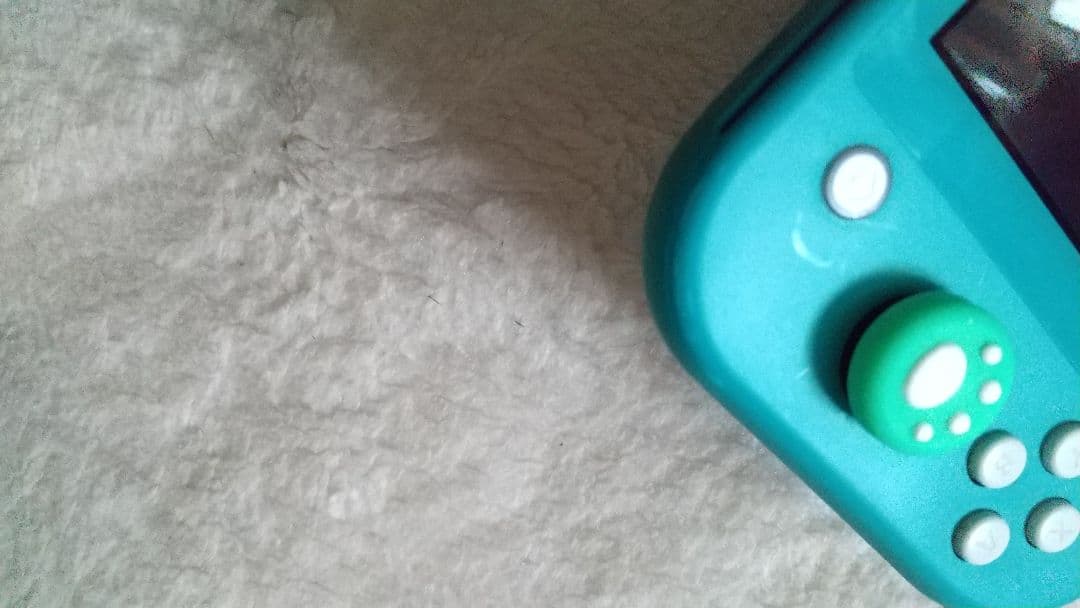 ジャンク Nintendo Switch Lite ターコイズ