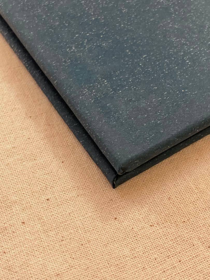 洋書 Instruction Manual No.3 Terri Weifenbach