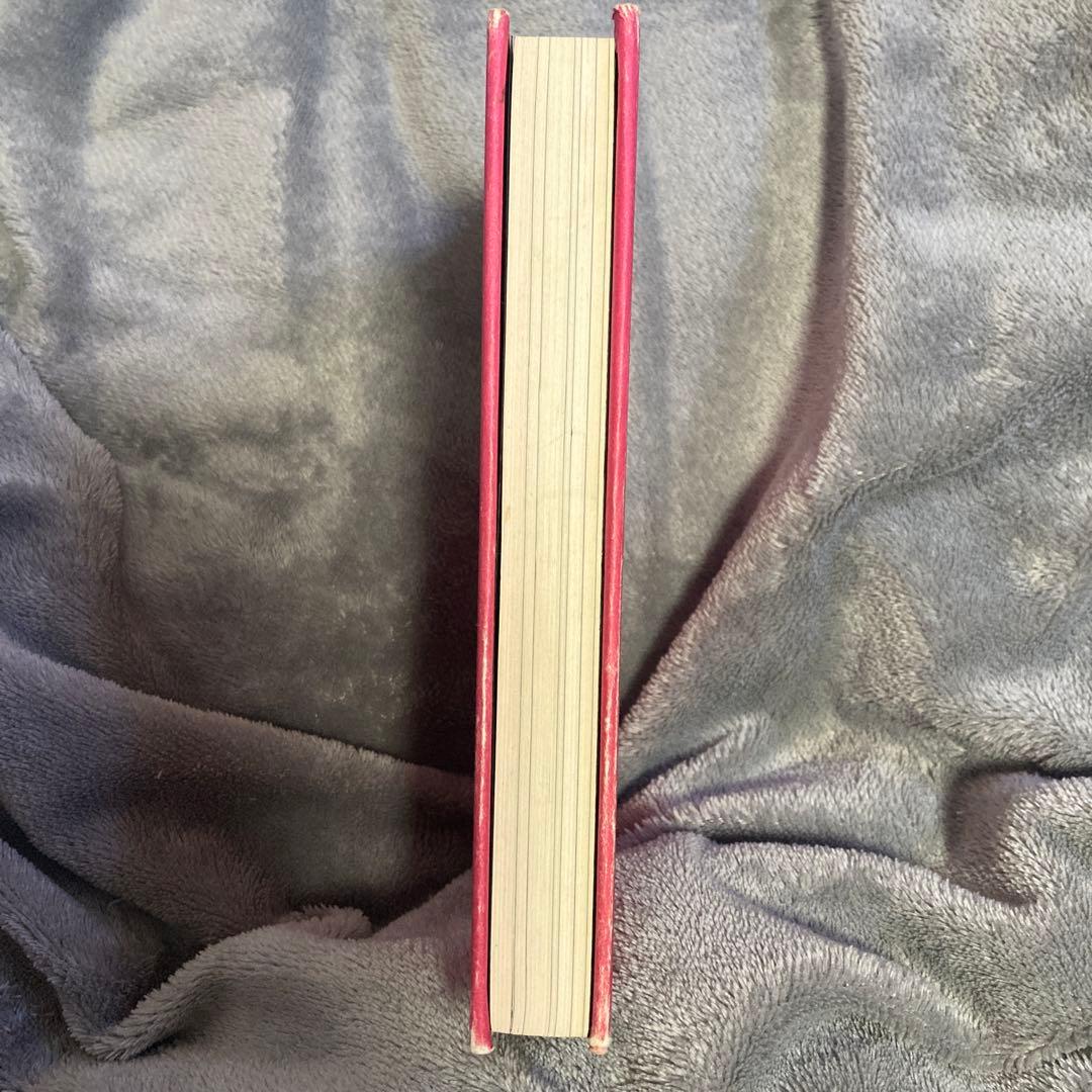 絶版 振り子の法則 リアリティ・トランサーフィン 幸運の波/不運の波の選択