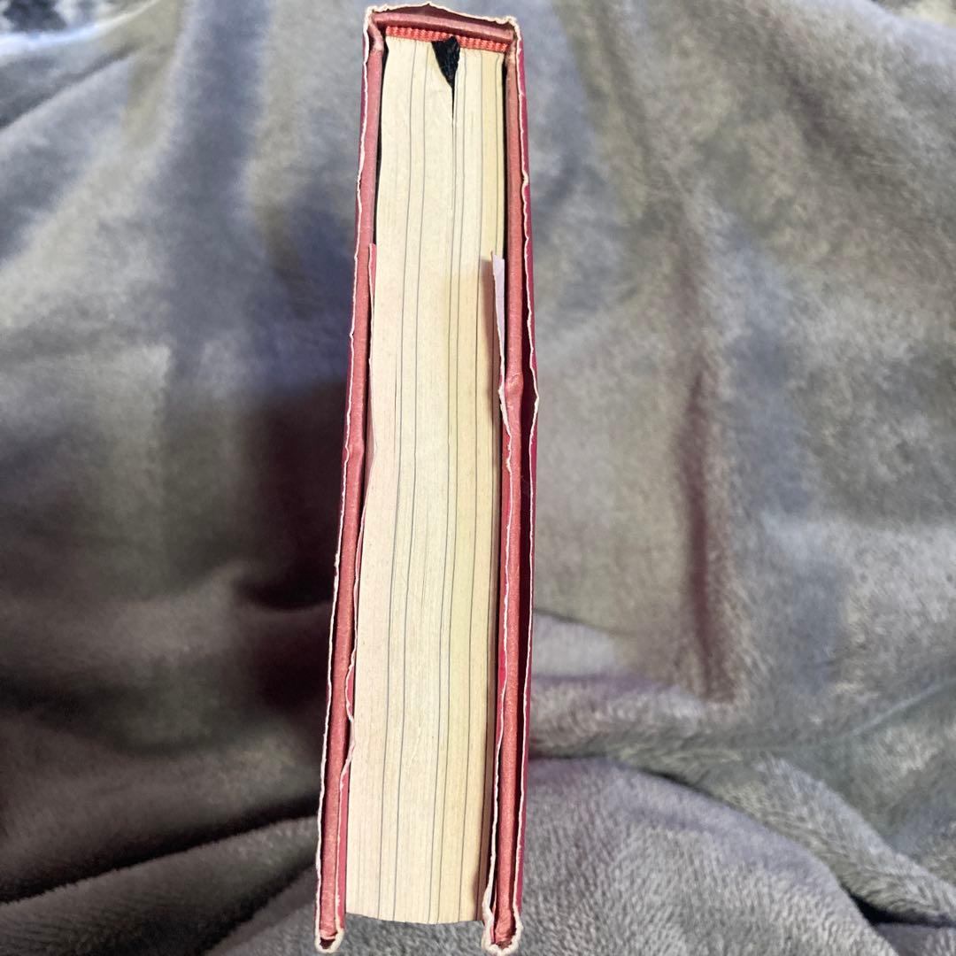 絶版 振り子の法則 リアリティ・トランサーフィン 幸運の波/不運の波の選択