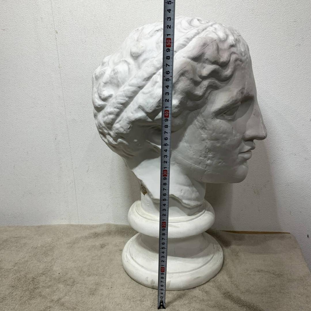 石膏像　パルテノン　像　ラボルト　重さ6.5Ｋg　高さ56ｃｍ　XZ3831