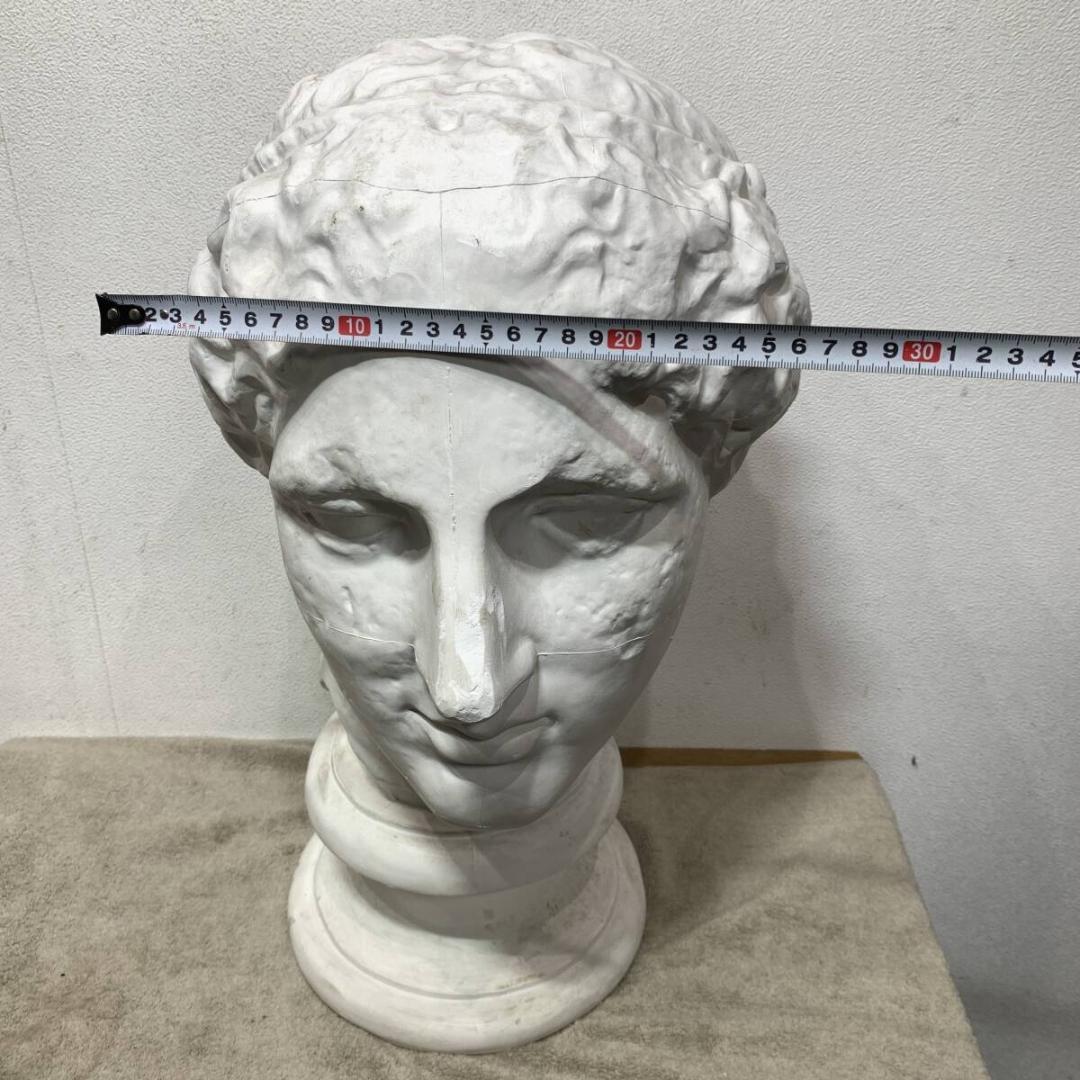 石膏像　パルテノン　像　ラボルト　重さ6.5Ｋg　高さ56ｃｍ　XZ3831