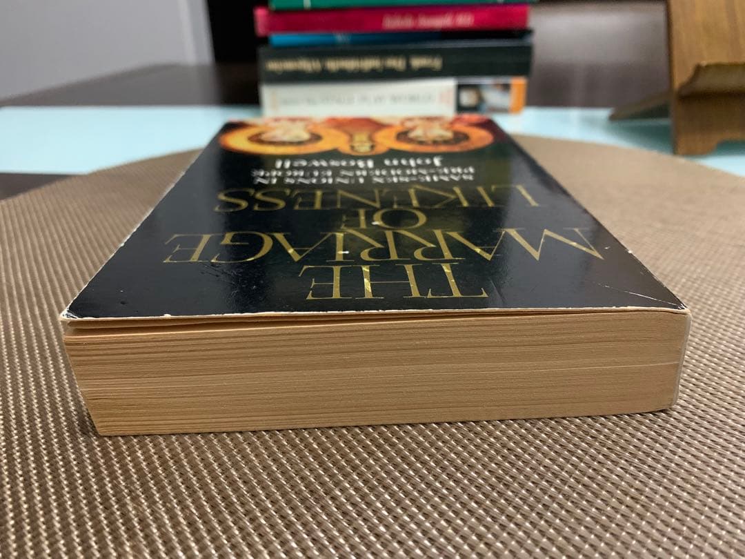 希少　The Marriage of Likeness John Boswell