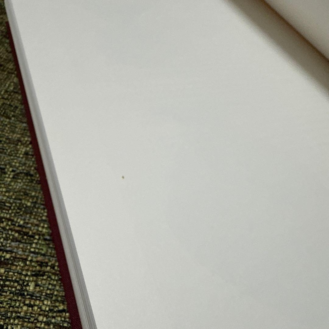 斑鳩藤ノ木古墳　第一次調査報告書　1990 奈良