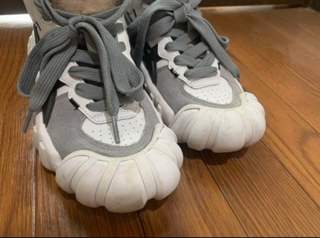 オニツカタイガー デンティグレ LS 23.0 Onitsuka Tiger