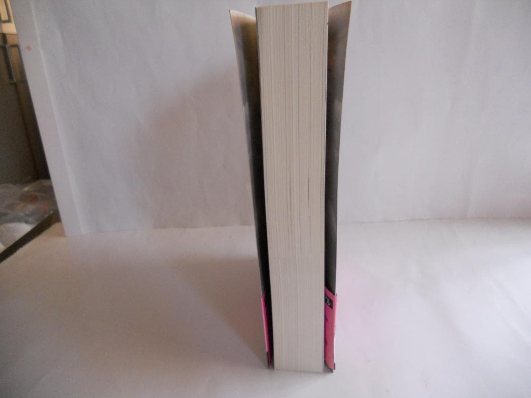 平成 の 名書 WINDOWS95 オフィシャル マニュアル です。