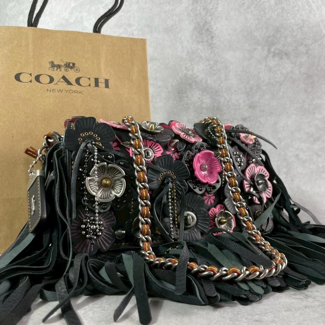 超希少/極上美品✨COACH 3way ディンキー ショルダーバッグ 黒