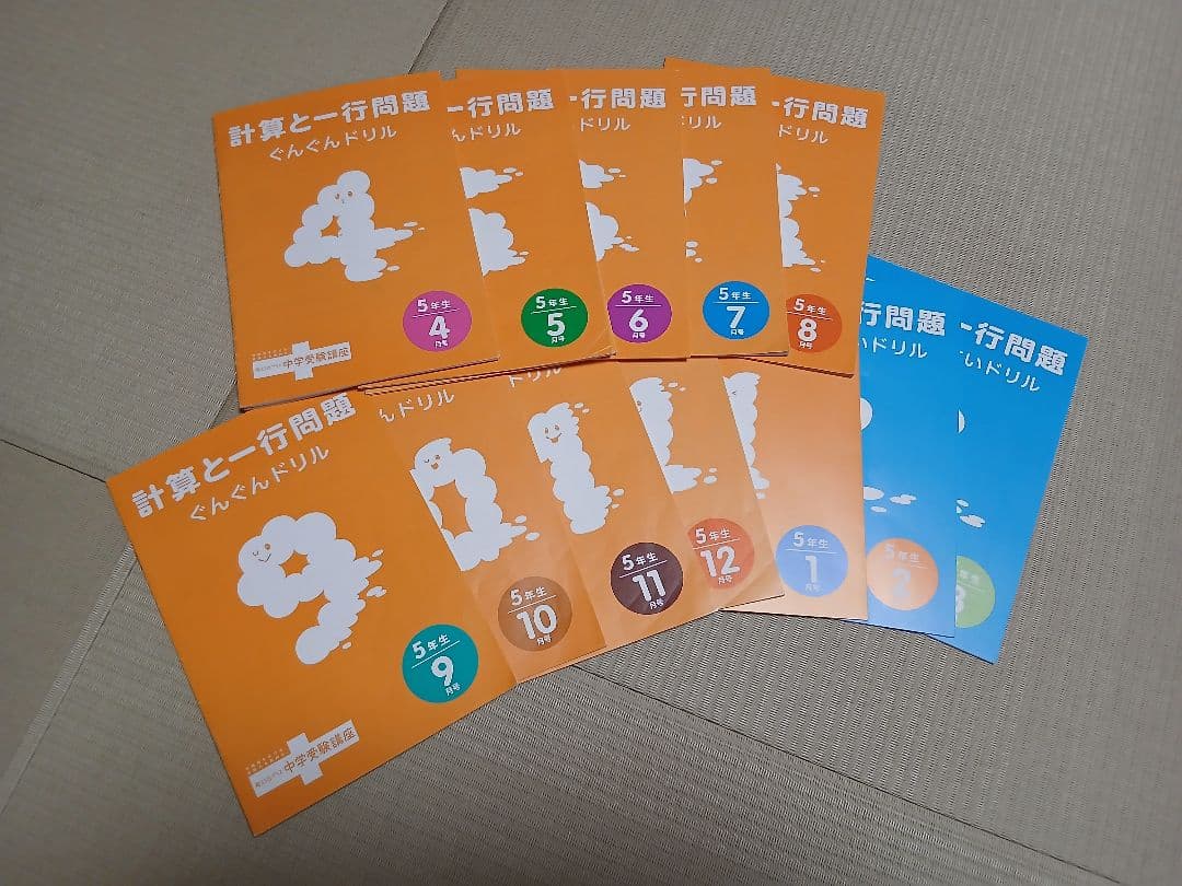 進研ゼミ 考える力プラス 中学受験講座5年生 １年分セット