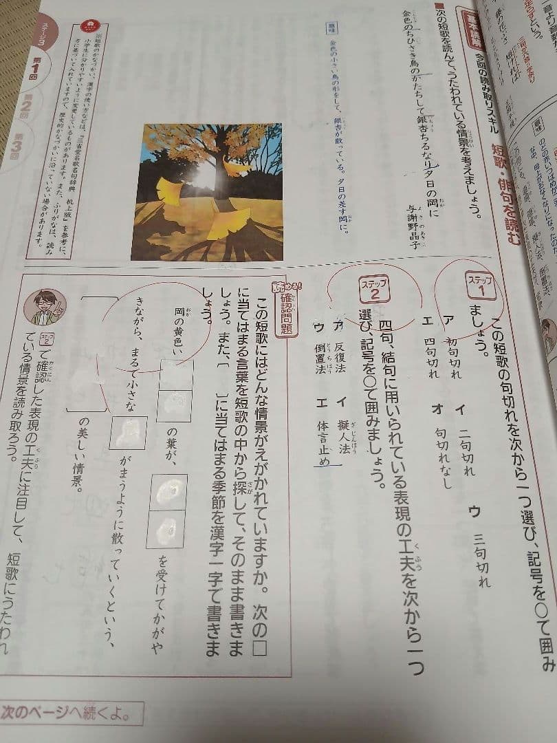 進研ゼミ 考える力プラス 中学受験講座5年生 １年分セット