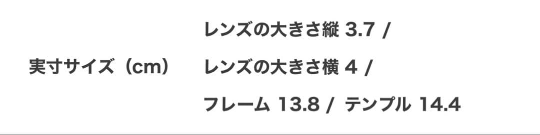 EFFECTOR × CHRISTIAN DADA サングラス YOUTH 眼鏡