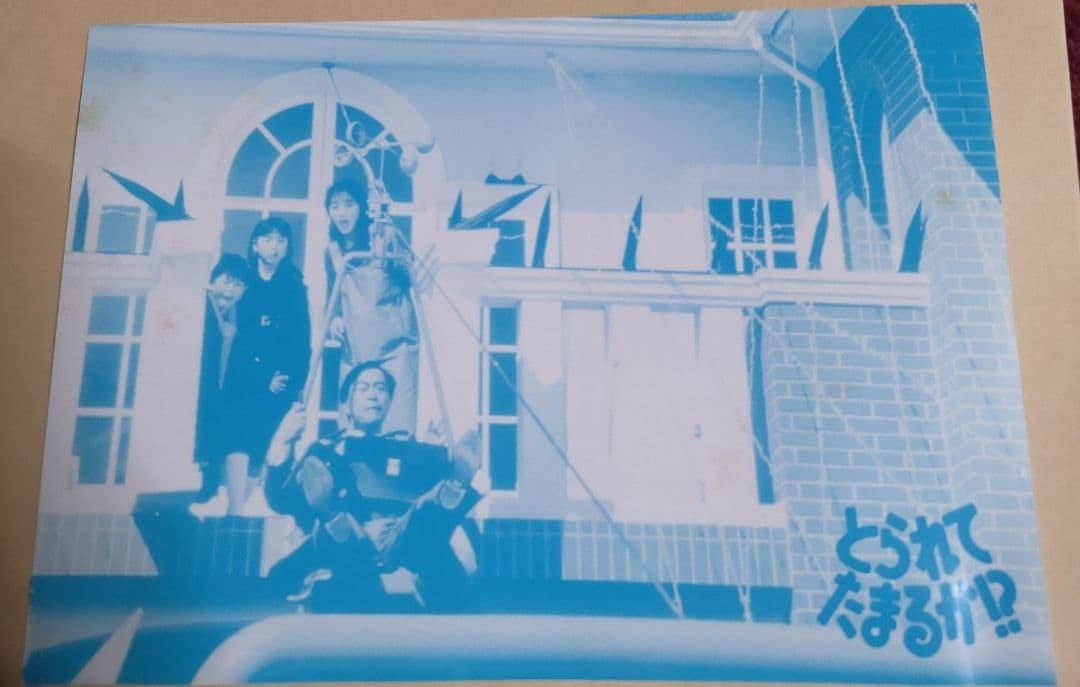 とられてたまるか!? DVD 武田鉄矢 田中美佐子 明石家さんま セル版