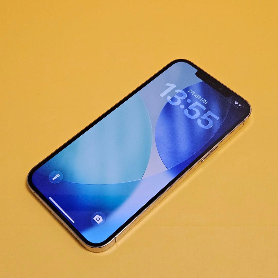 iPhone 12 ProMax 256GB｜24時間以内発送#699