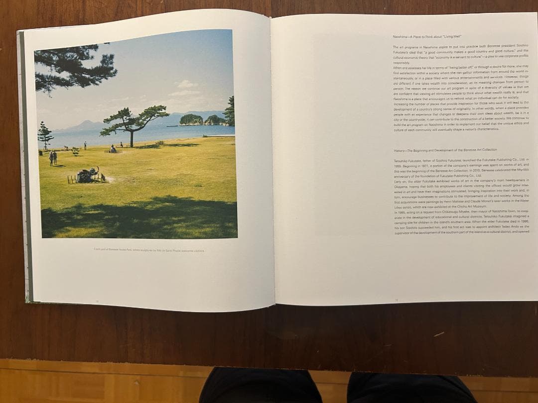 畠山直哉 Naoshima Nature Art Architecture