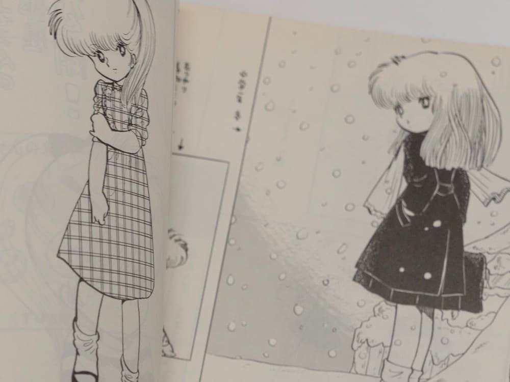 幻の 吾妻ひでお ミャア官 1981年8月 写真集第一巻