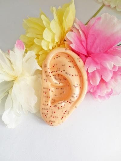 W資格／耳つぼダイエットインストラクター&耳つぼ認定講師【協会資格】 認定証２枚