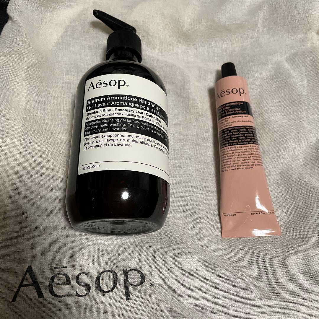 Aesop イソップ ハンドウォッシュ&ハンドクリーム　巾着 サンプル付き