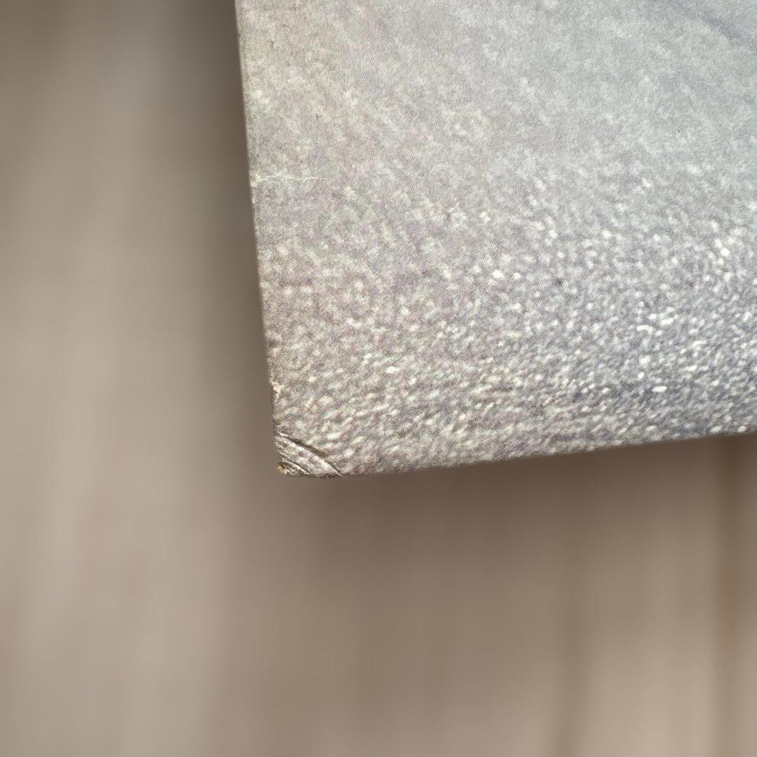 【希少】浜田省吾　「SHOW AROUND」