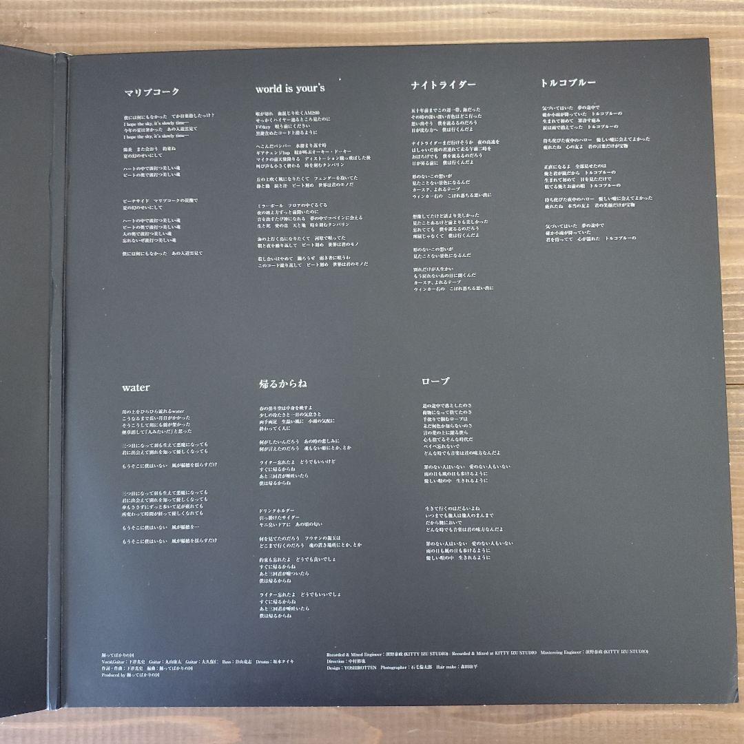 踊ってばかりの国 光の中に LPレコード