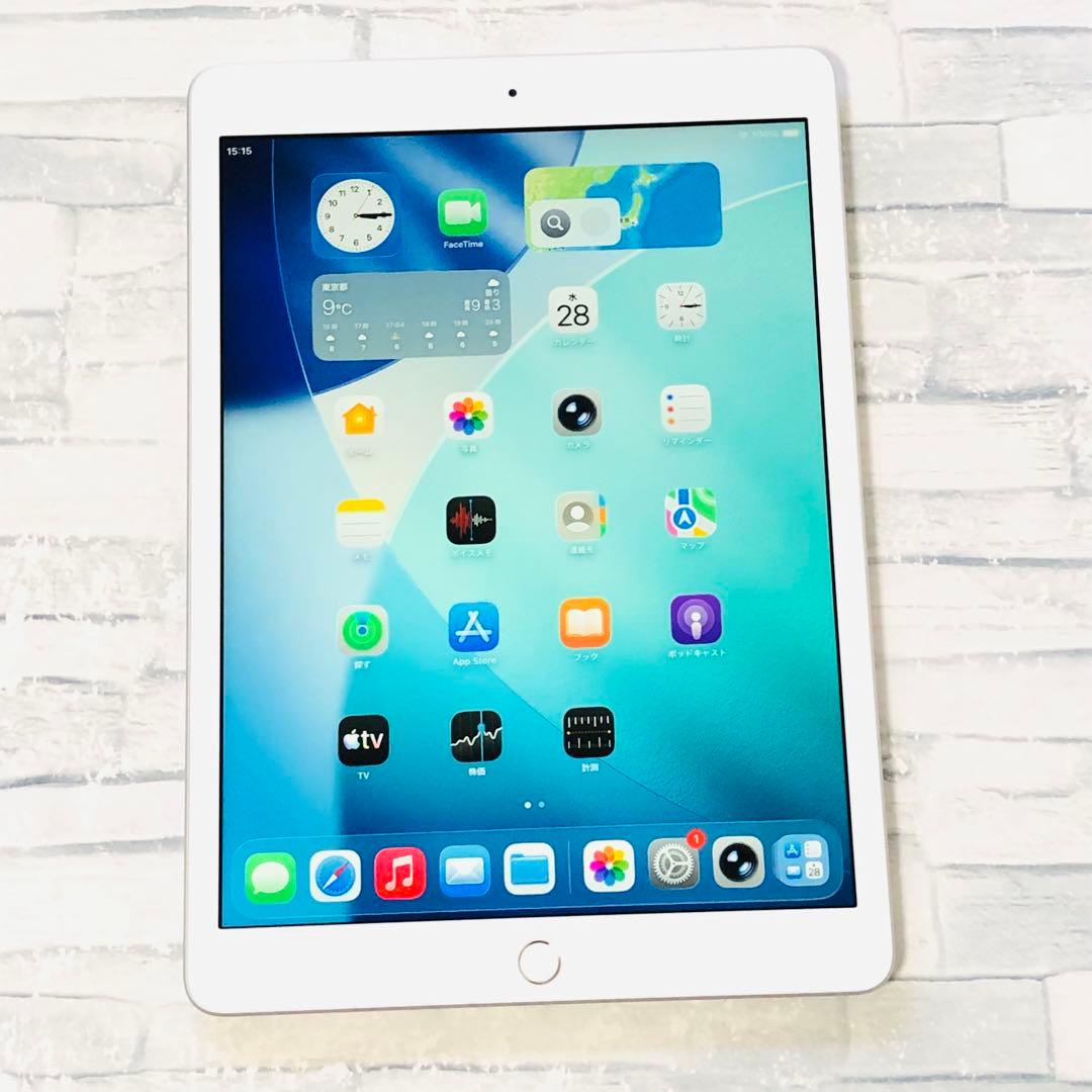 美品 iPad 第8世代 32GB wifiモデル　管理番号：319