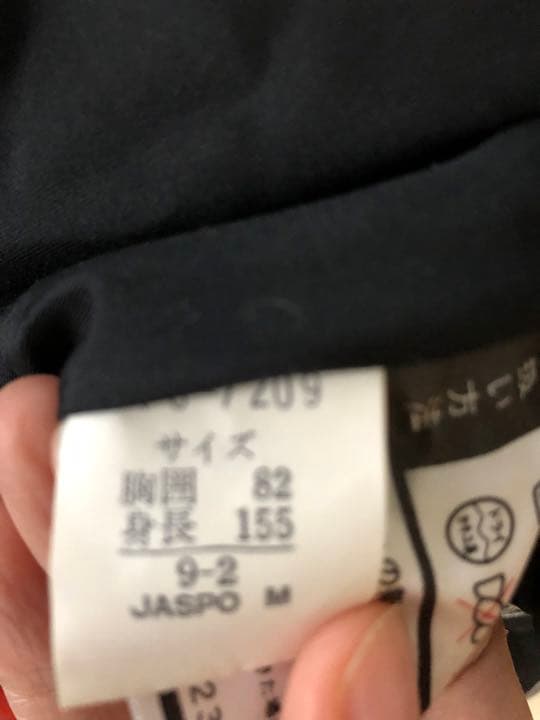 レトロ　LINEA PALIO phenix スキーウェア