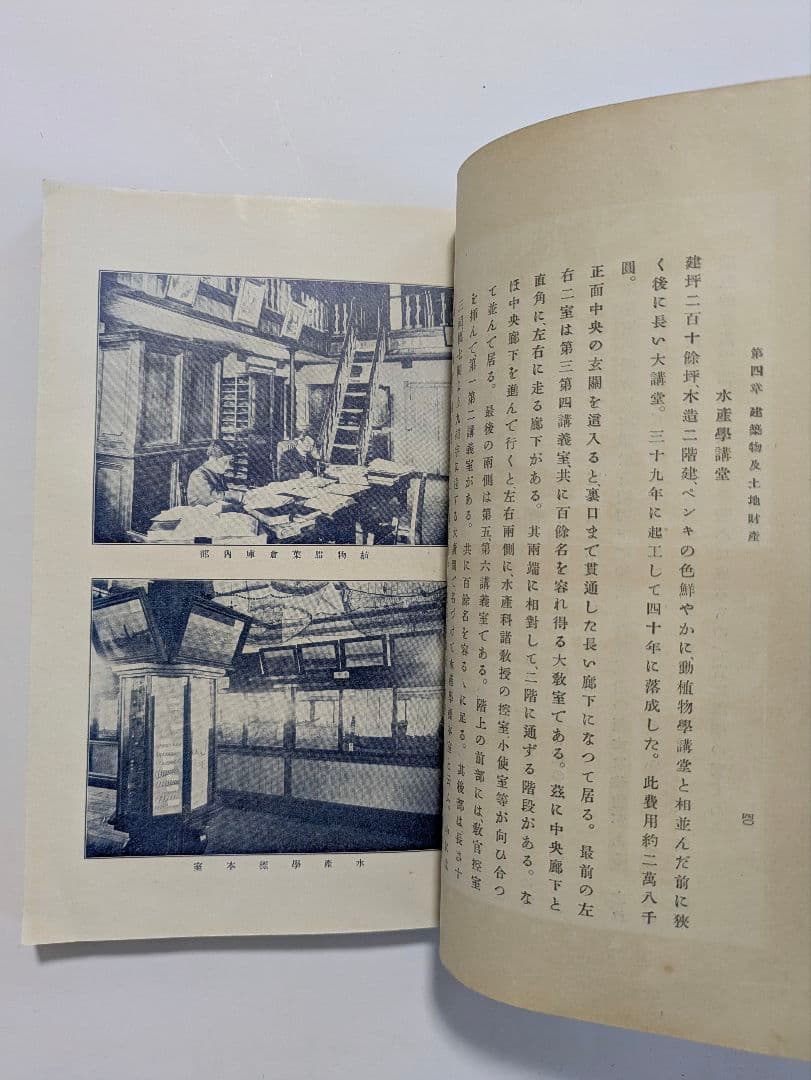 東北帝国大学農科大学　明治43年　富貴堂書房　明治レトロ