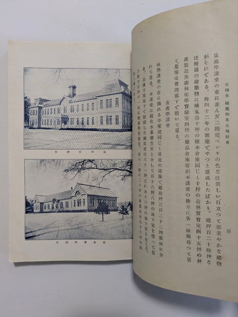 東北帝国大学農科大学　明治43年　富貴堂書房　明治レトロ