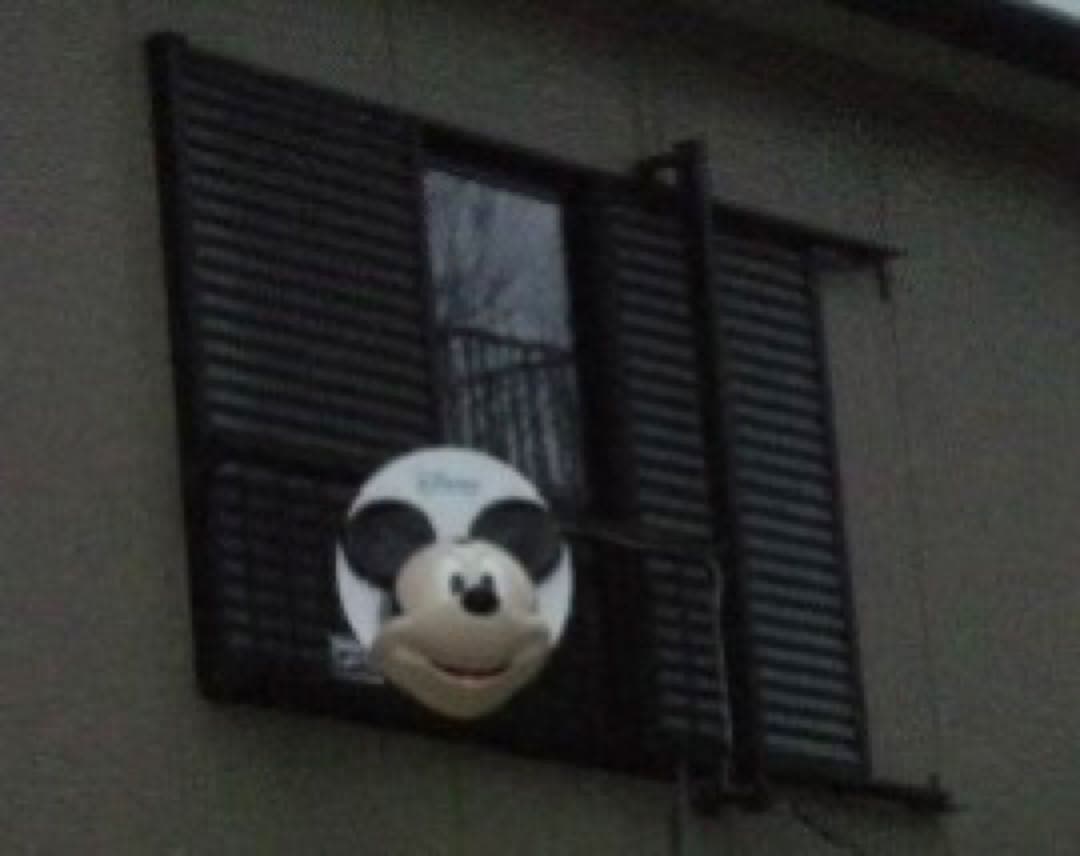 ①マスプロ BS・110°CSアンテナ ミッキーマウス BSC45RMC-SET