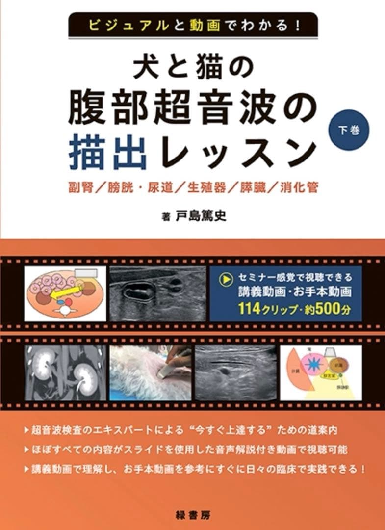 ビジュアルと動画でわかる! 犬と猫の腹部超音波の描出レッスン 下巻 【裁断済み】