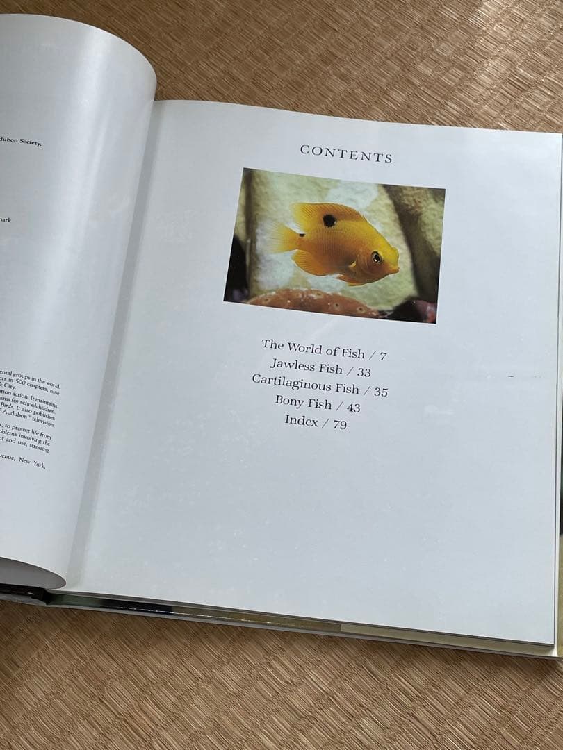 洋書　魚の図鑑　The National Audubon Society