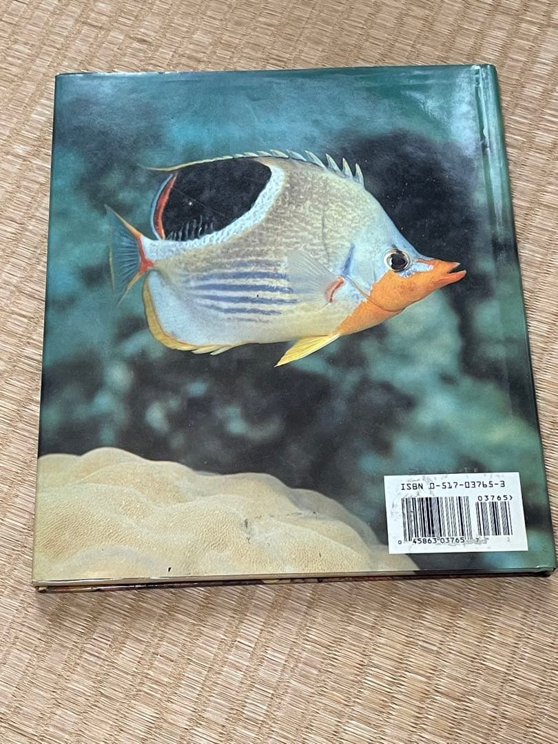 洋書　魚の図鑑　The National Audubon Society