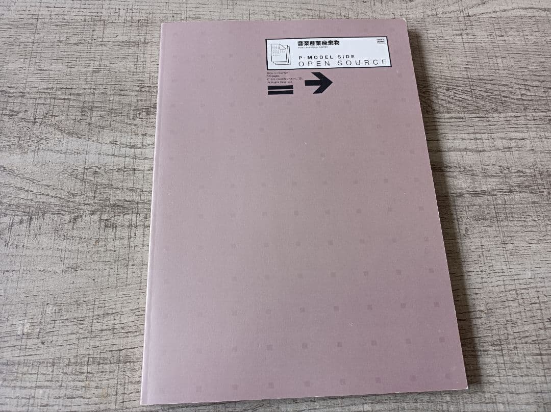 【値下げ交渉歓迎】P-MODEL 音楽産業廃棄物