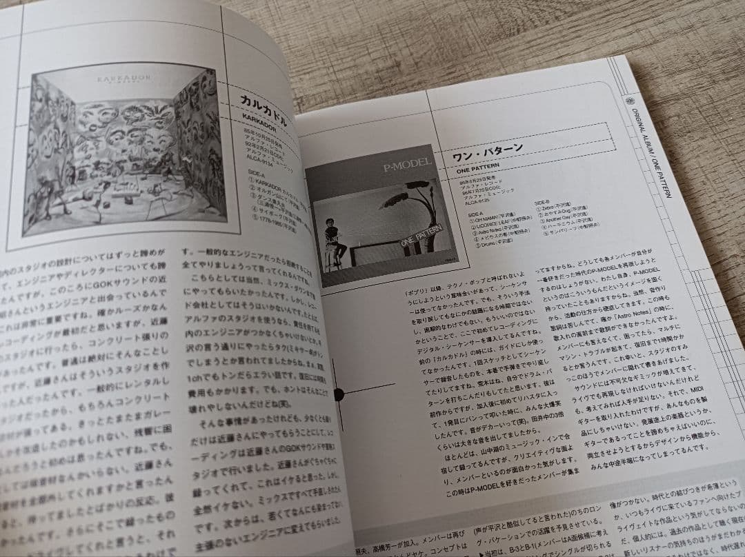 【値下げ交渉歓迎】P-MODEL 音楽産業廃棄物