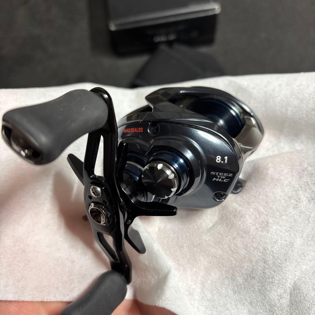 DAIWA STEEZ A TW HLC 8.1L左　イッセイスプール付