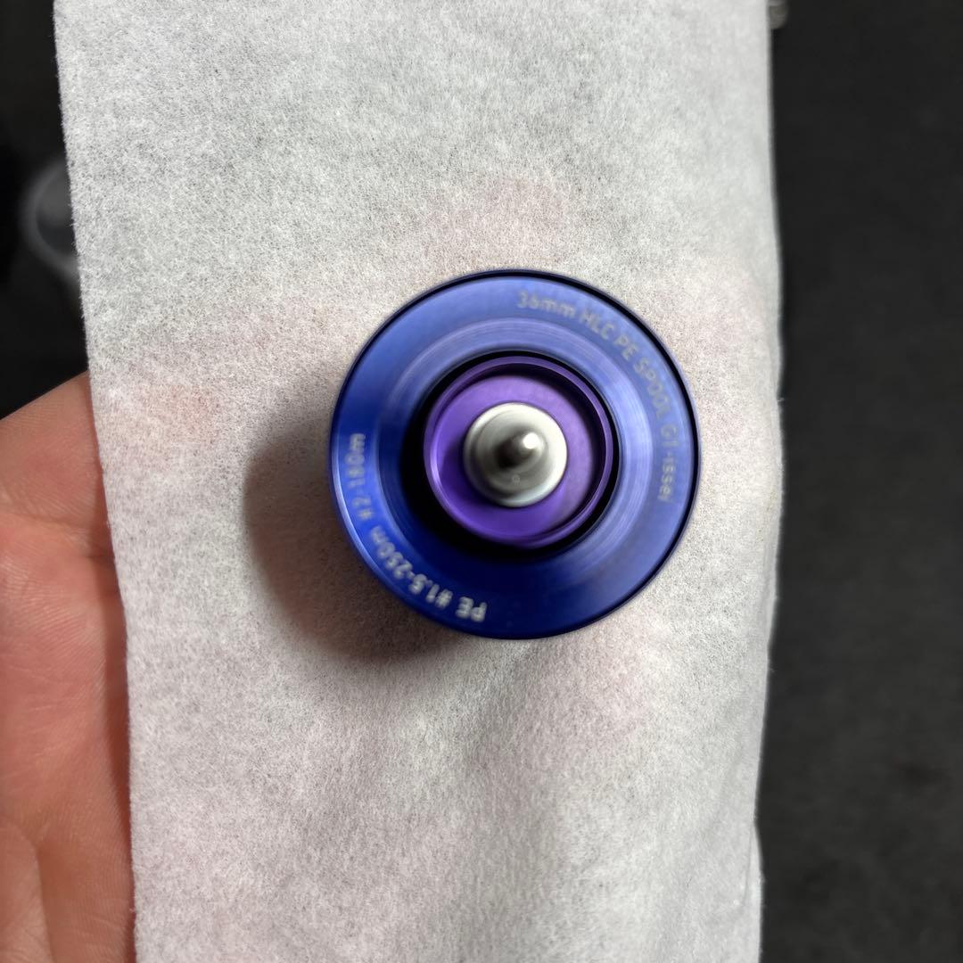 DAIWA STEEZ A TW HLC 8.1L左　イッセイスプール付