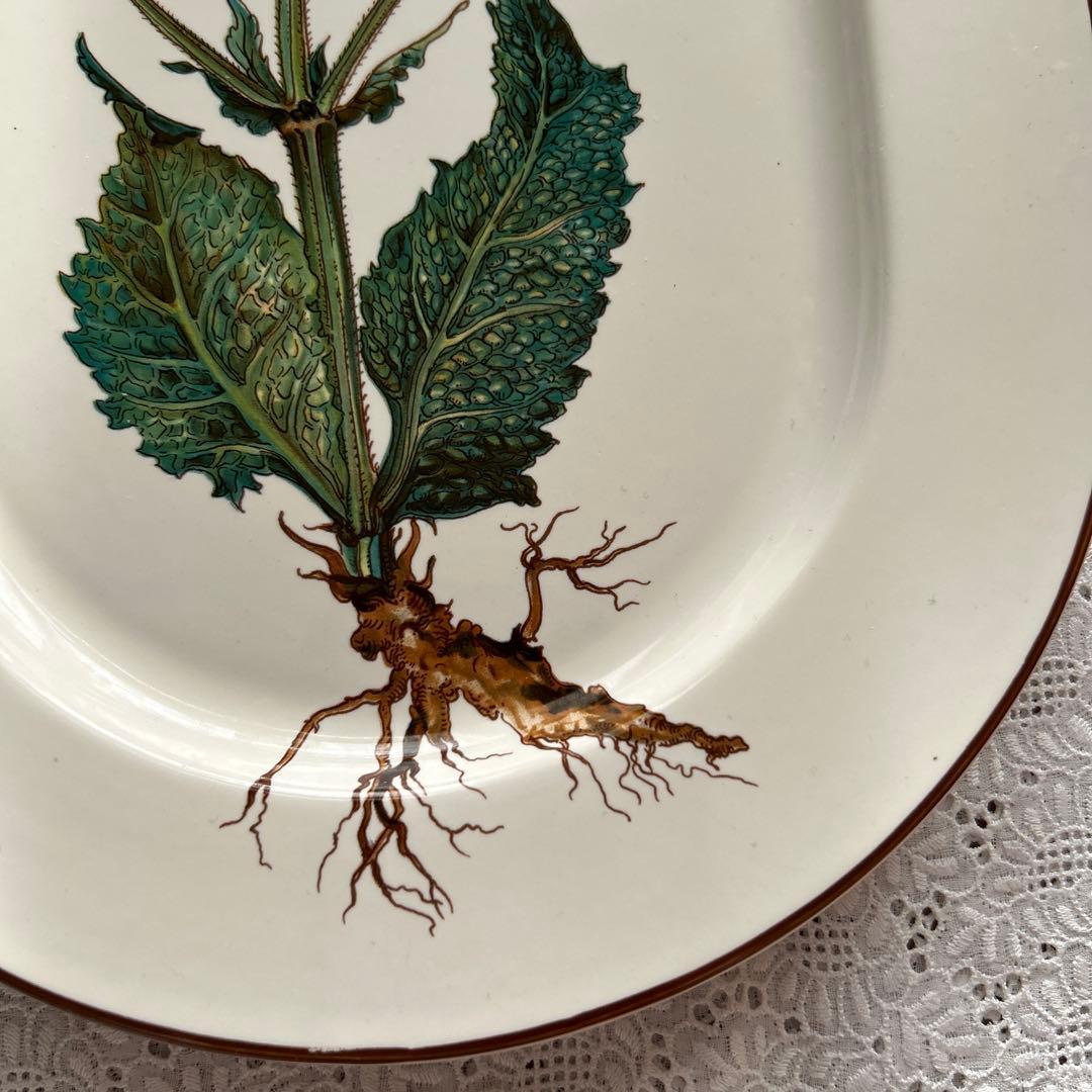 ヴィンテージ　レアビレロイボッホ ボタニカル　サービングプラッター　２枚組