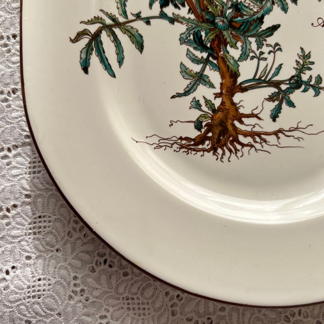 ヴィンテージ　レアビレロイボッホ ボタニカル　サービングプラッター　２枚組