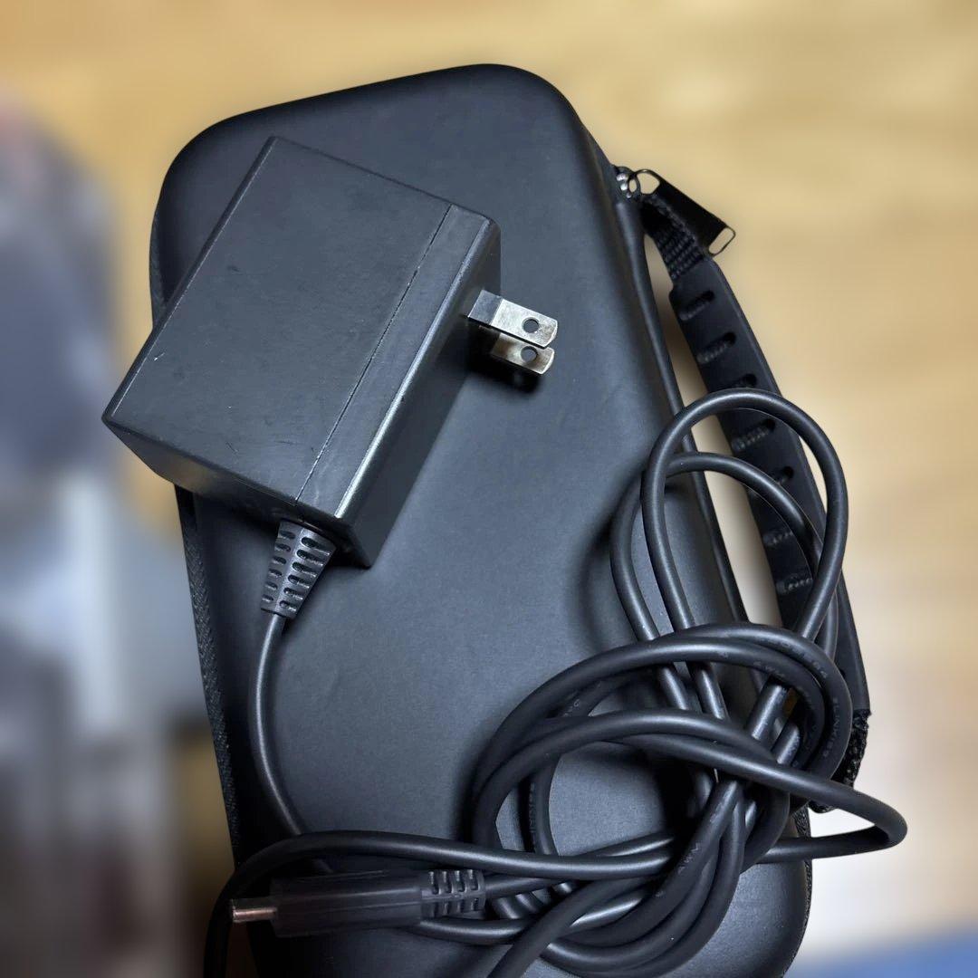 Nintendo Switch Lite グレー 本体 充電器・ケース・カバー