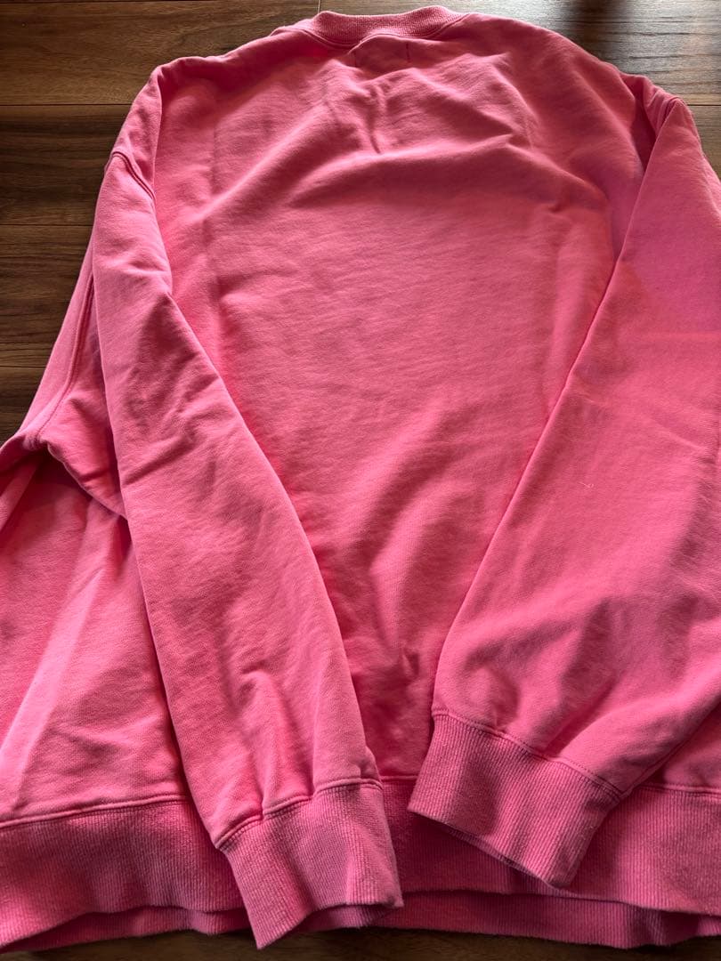 Disney collection WCJ SWEAT BIG TOP ピンク