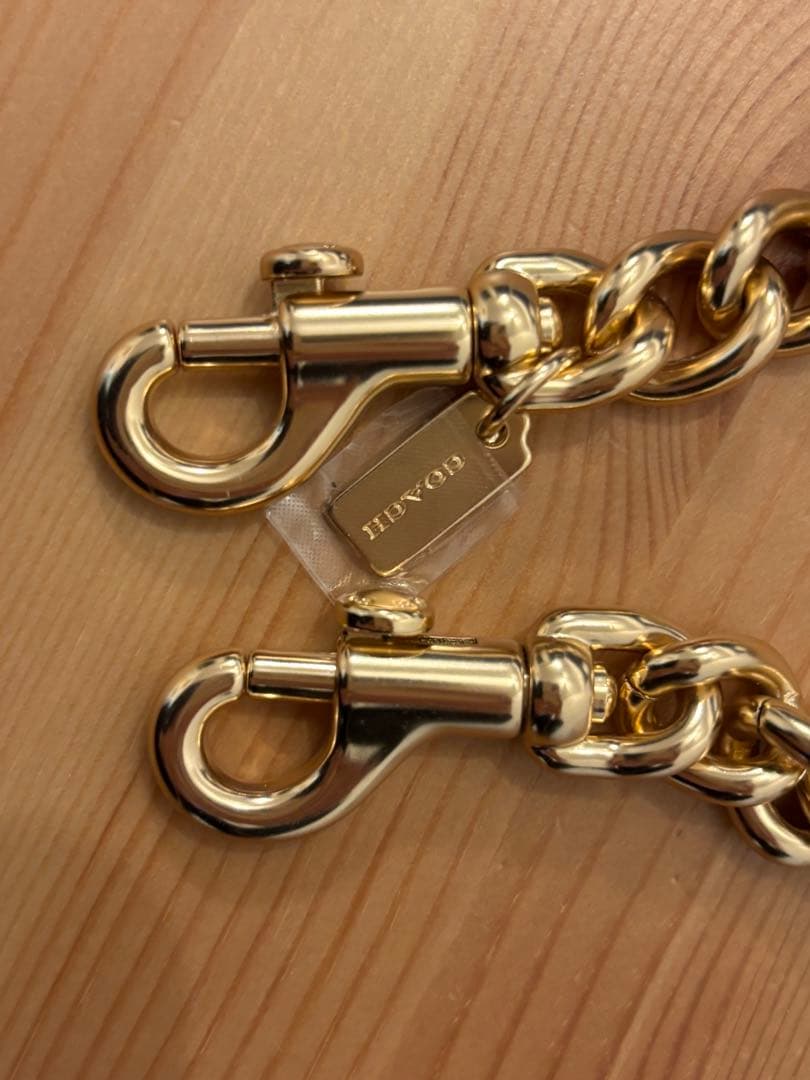 Louis Vuitton モノグラム ポシェットアクセソワール　COACH