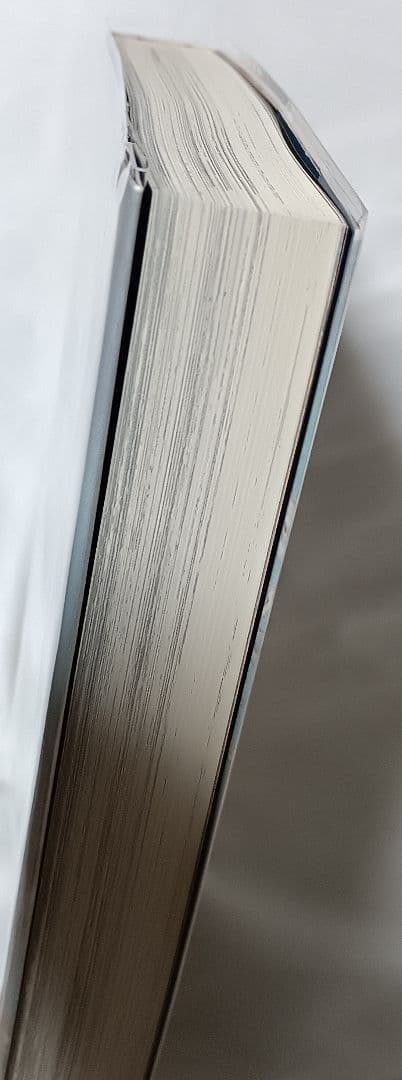 地上最強の男 竜 ＊ 風忍とダイナミックプロ