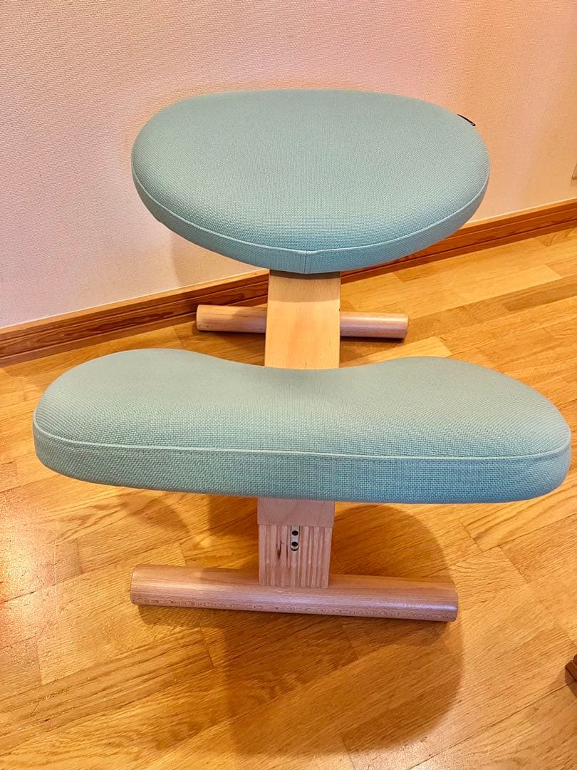 バランスチェア バランスイージー　サカモトハウス　ショートフレーム