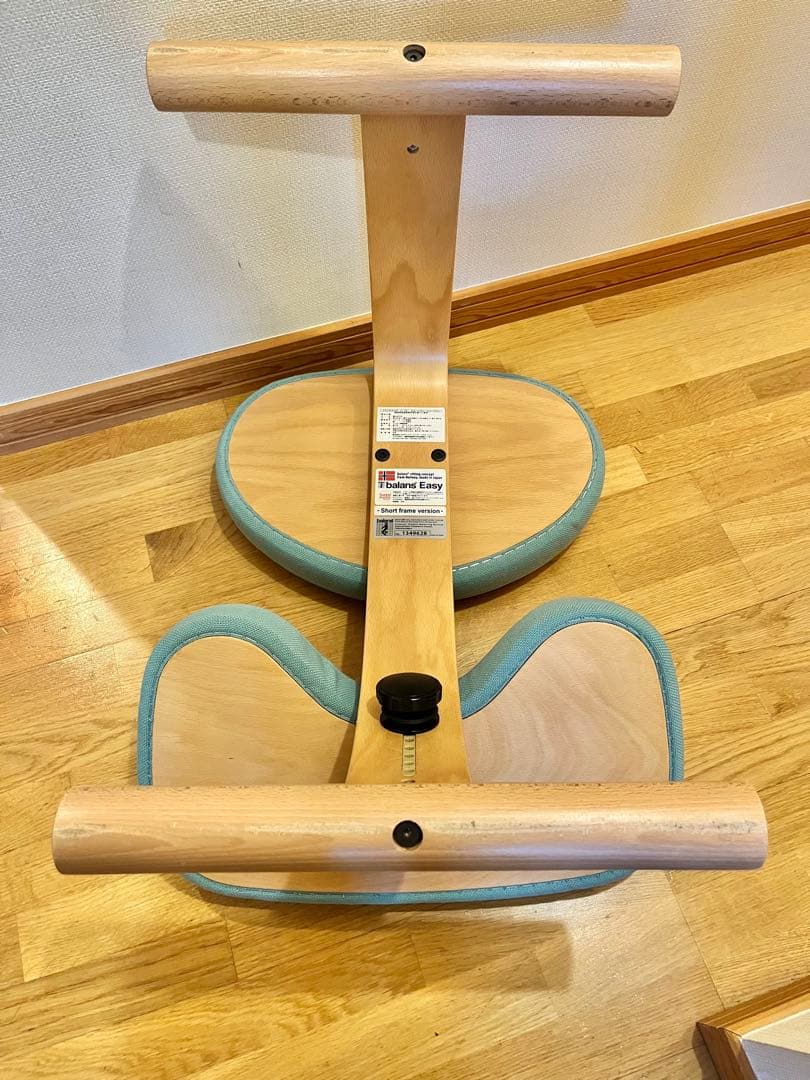 バランスチェア バランスイージー　サカモトハウス　ショートフレーム