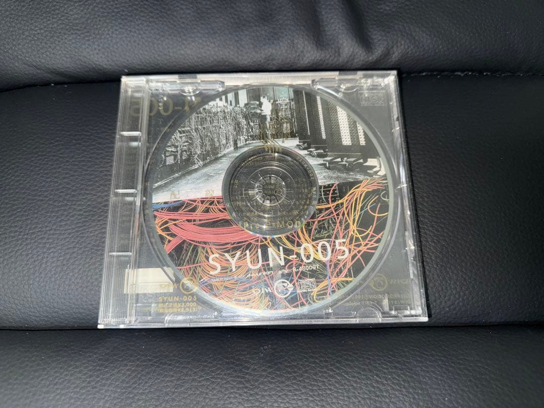 SYUN-005 配線上のアリア