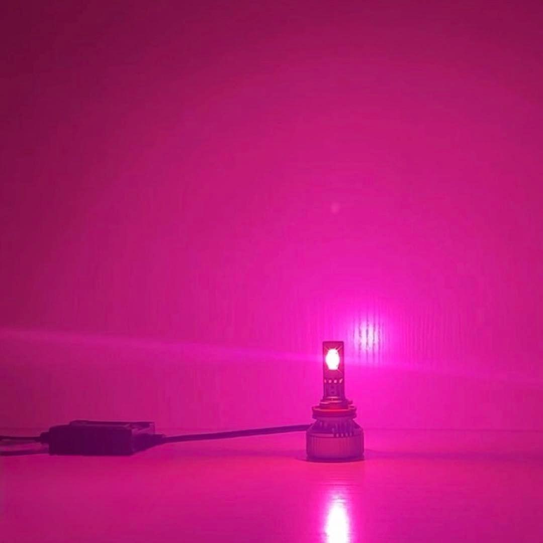 新登場!!30000lm!! H8/H11/H16ピンクパープルフォグランプ!!