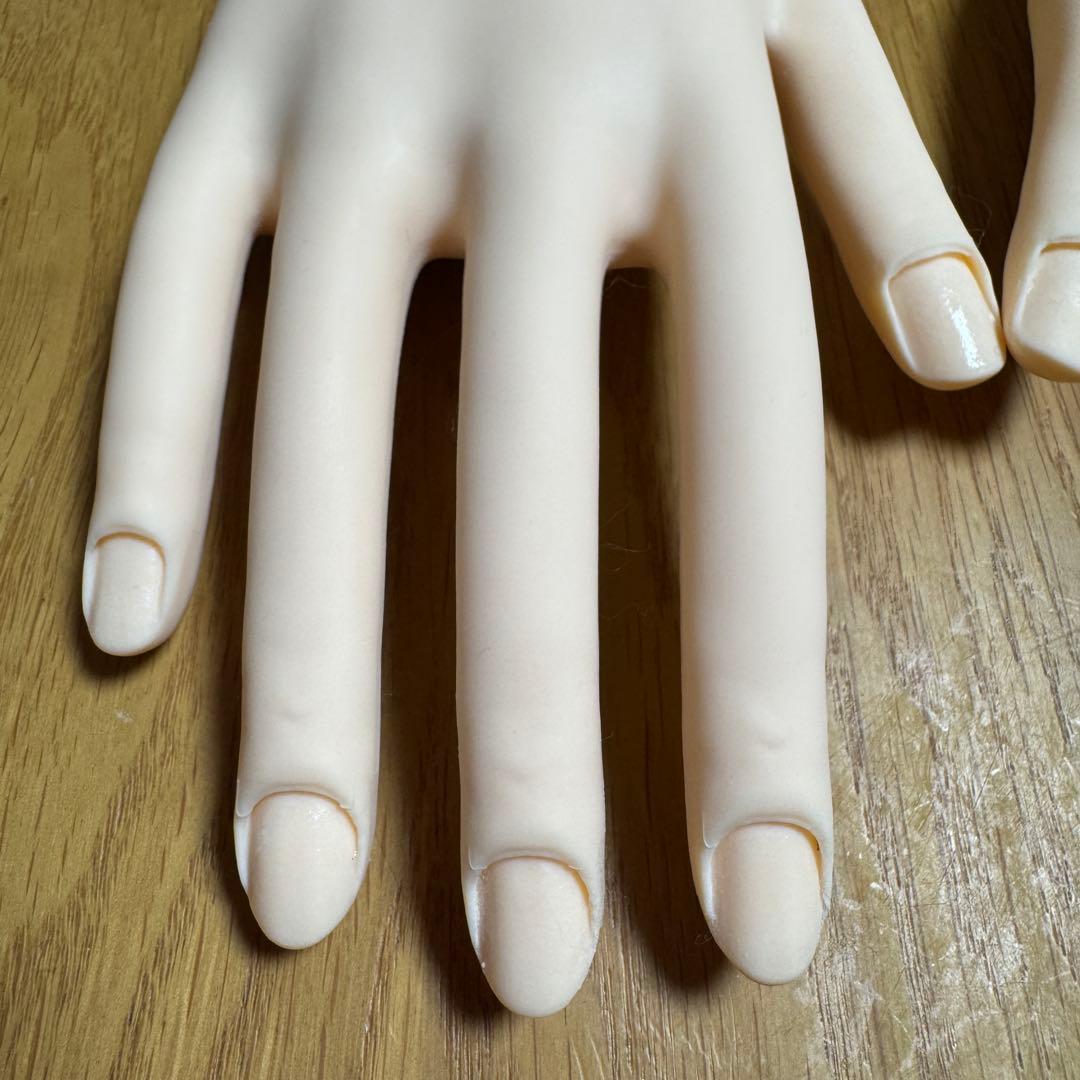 JNEC認定モデルハンド ST モデルハンド　両手　⑤