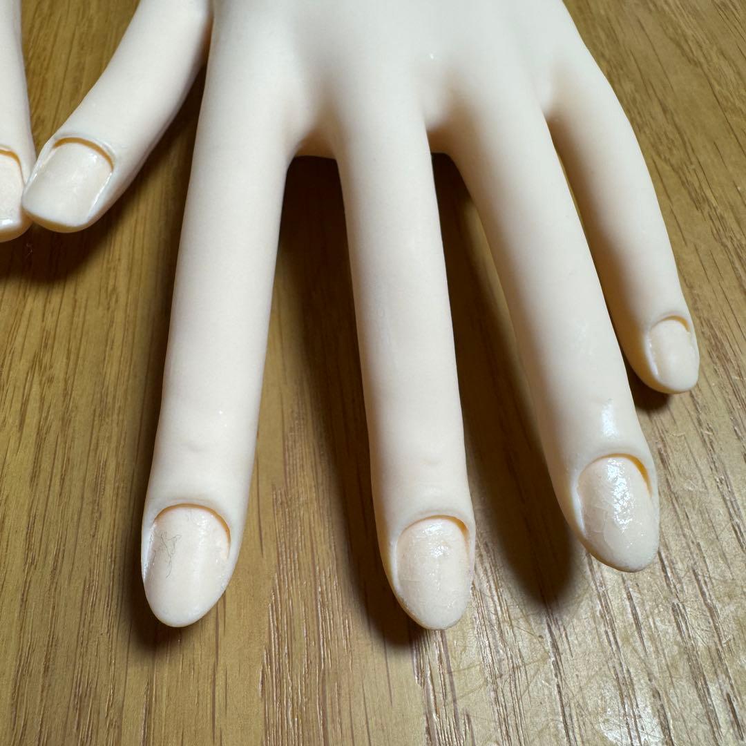 JNEC認定モデルハンド ST モデルハンド　両手　⑤