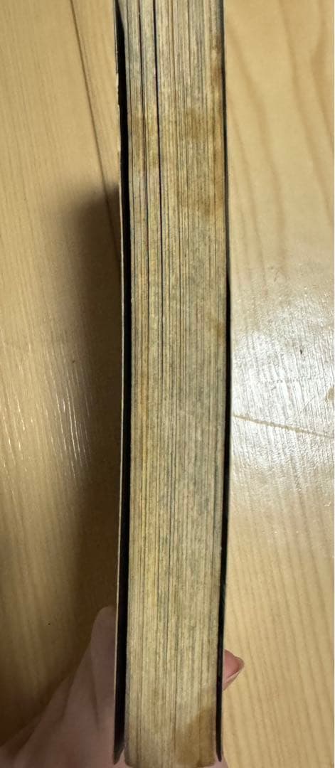 シャーマンキング　英語版　漫画　English Manga